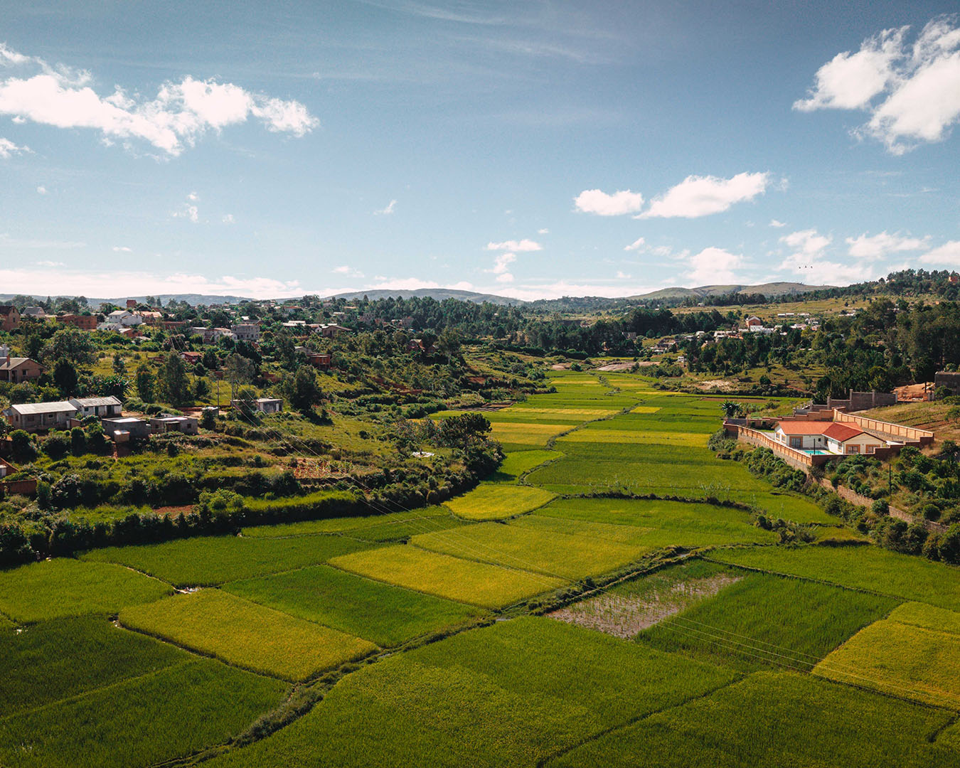 DJI_20250414085240_0185_D-HDR