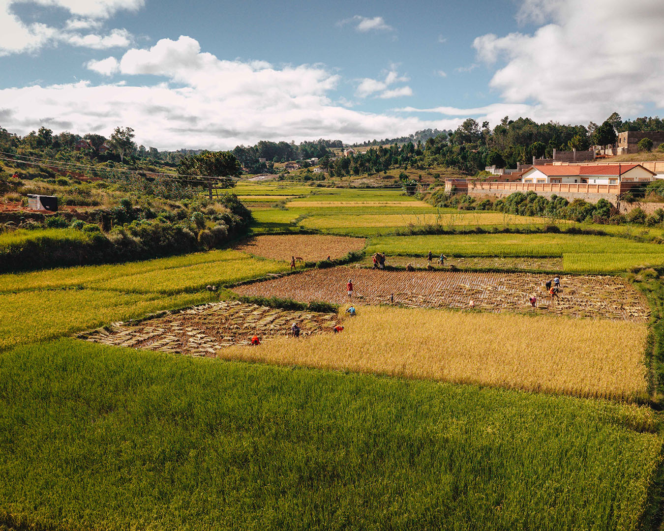DJI_20250429084533_0475_D